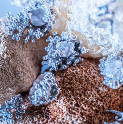 x doron silver creatures